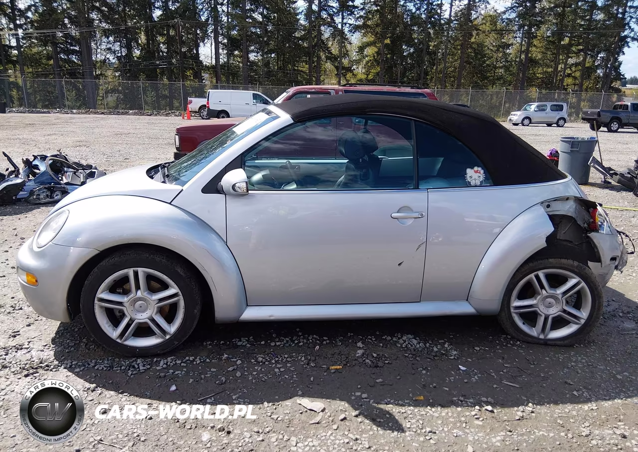 2004 Volkswagen New Beetle Gls 1.8T VIN:3VWCD31Y94M310638 - 14