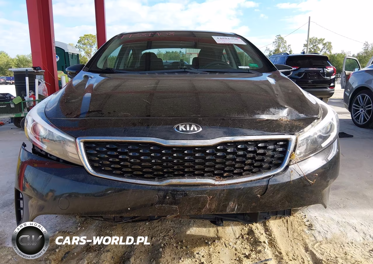 2017 Kia Forte Lx VIN:3KPFK4A70HE104434 - 13