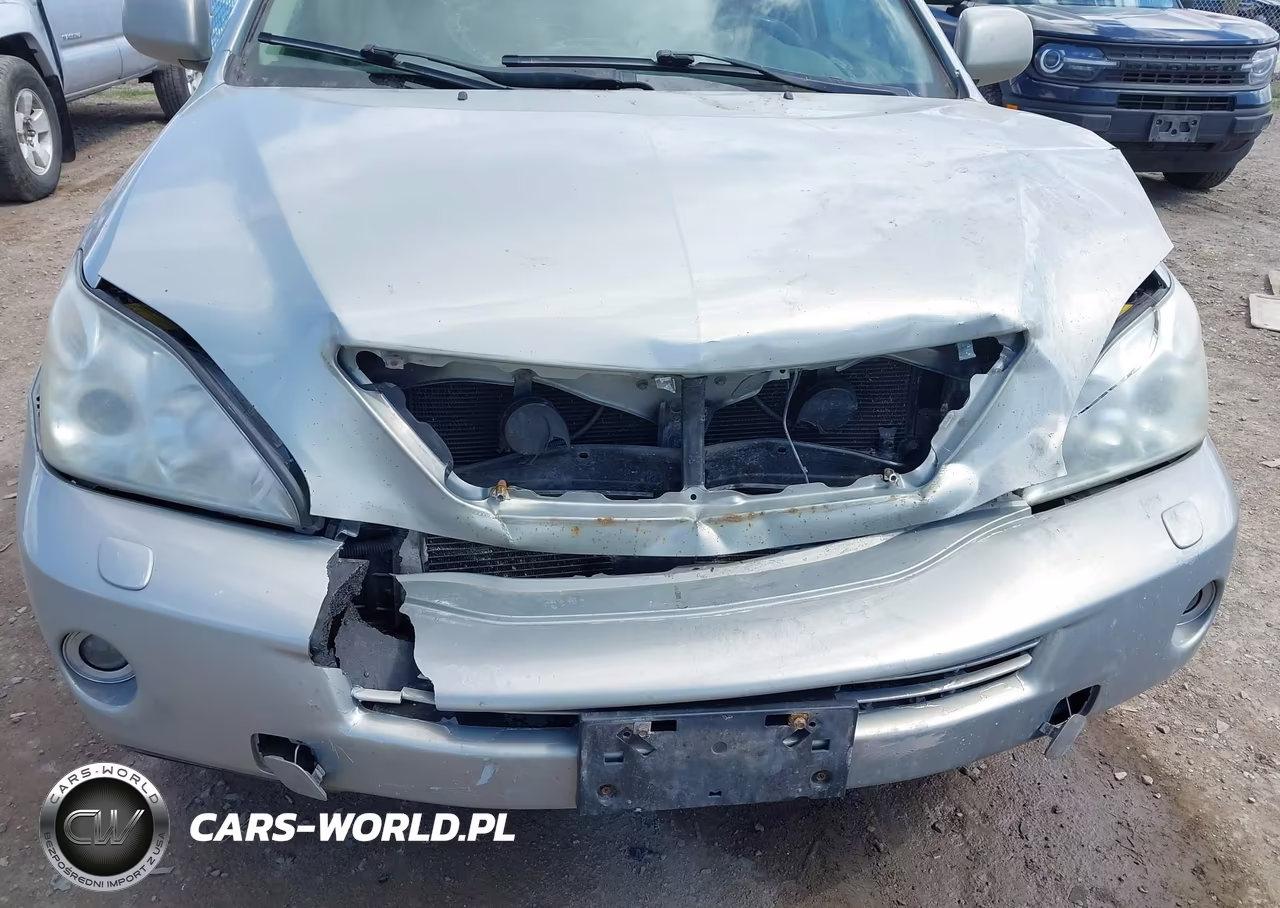 2006 Lexus Rx 400H VIN:JTJHW31U560045512 - 6