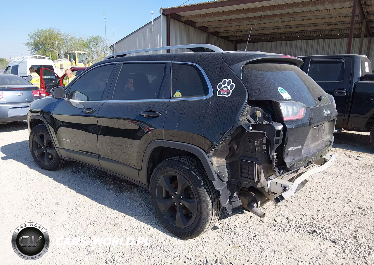 2019 Jeep Cherokee Limited 4X4 VIN:1C4PJMDX4KD304065 - 3