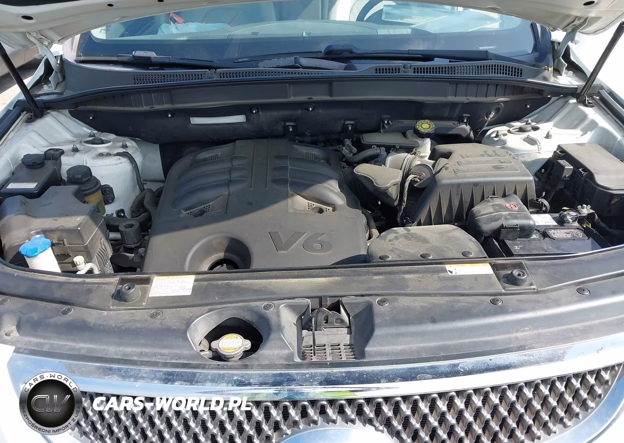 2008 Hyundai Veracruz Gls-Limited-Se VIN:KM8NU13C98U040227 - 10