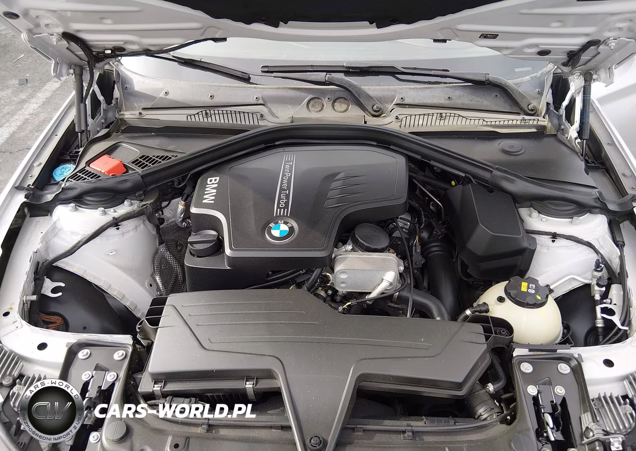 2016 BMW 228I VIN:WBA1F9C56GV742573 - 10