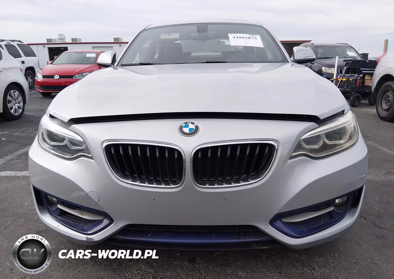 2016 BMW 228I VIN:WBA1F9C56GV742573 - 12