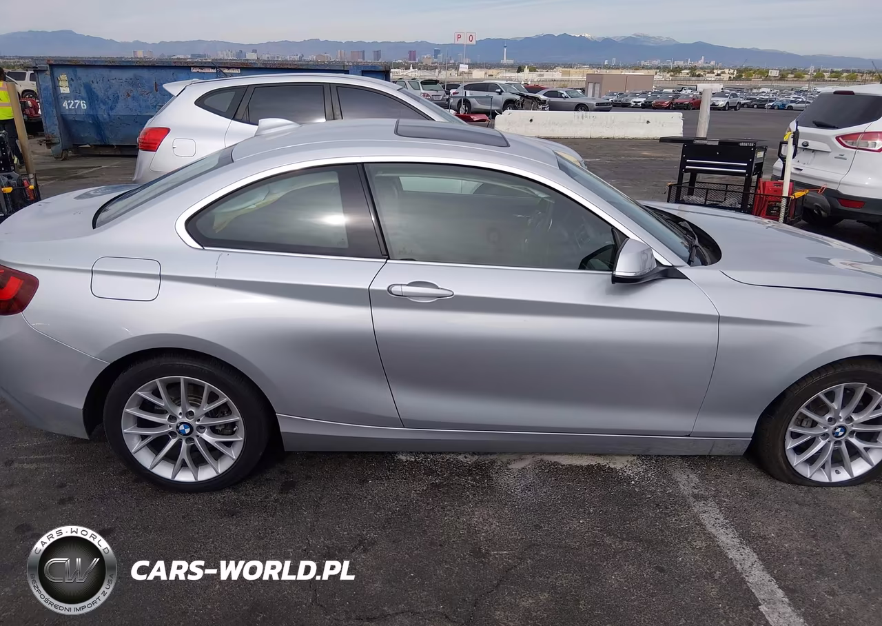 2016 BMW 228I VIN:WBA1F9C56GV742573 - 13