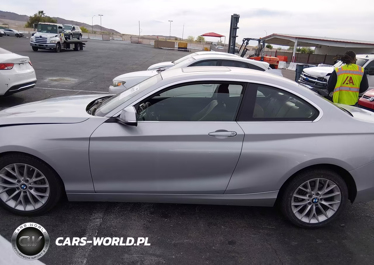 2016 BMW 228I VIN:WBA1F9C56GV742573 - 14