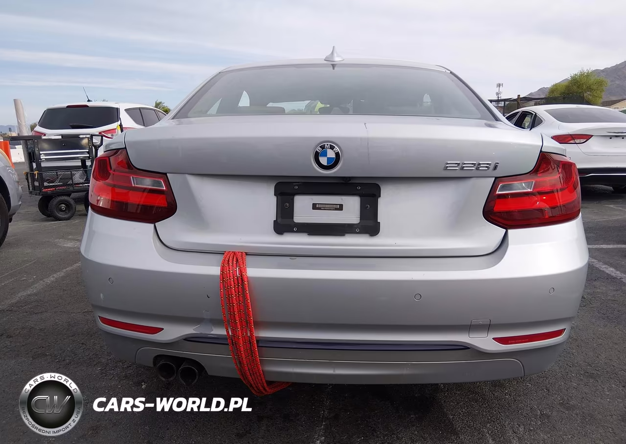 2016 BMW 228I VIN:WBA1F9C56GV742573 - 16