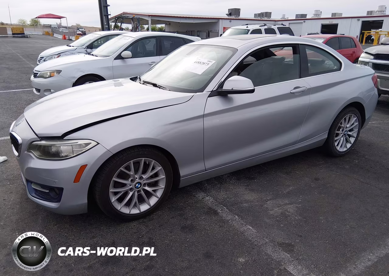 2016 BMW 228I VIN:WBA1F9C56GV742573 - 2