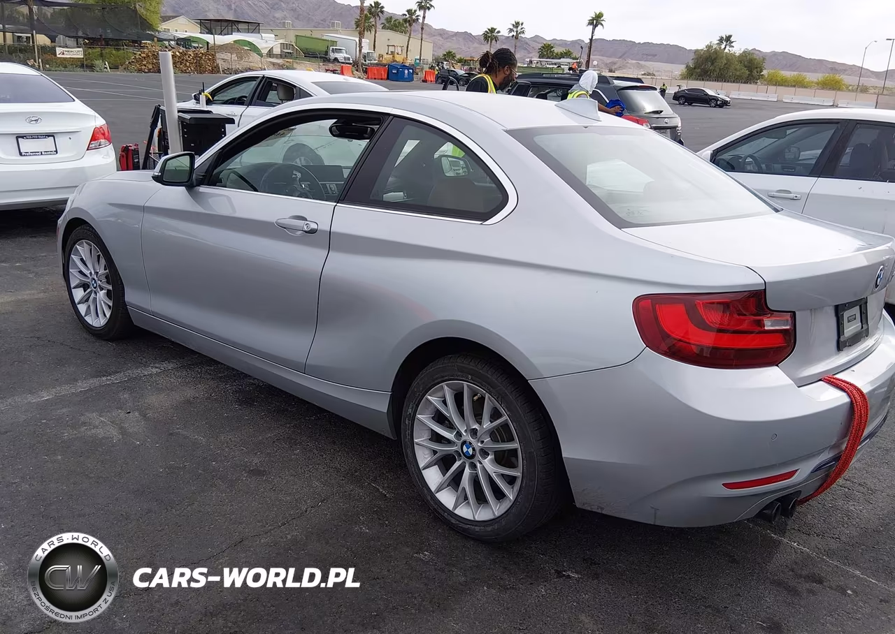 2016 BMW 228I VIN:WBA1F9C56GV742573 - 3
