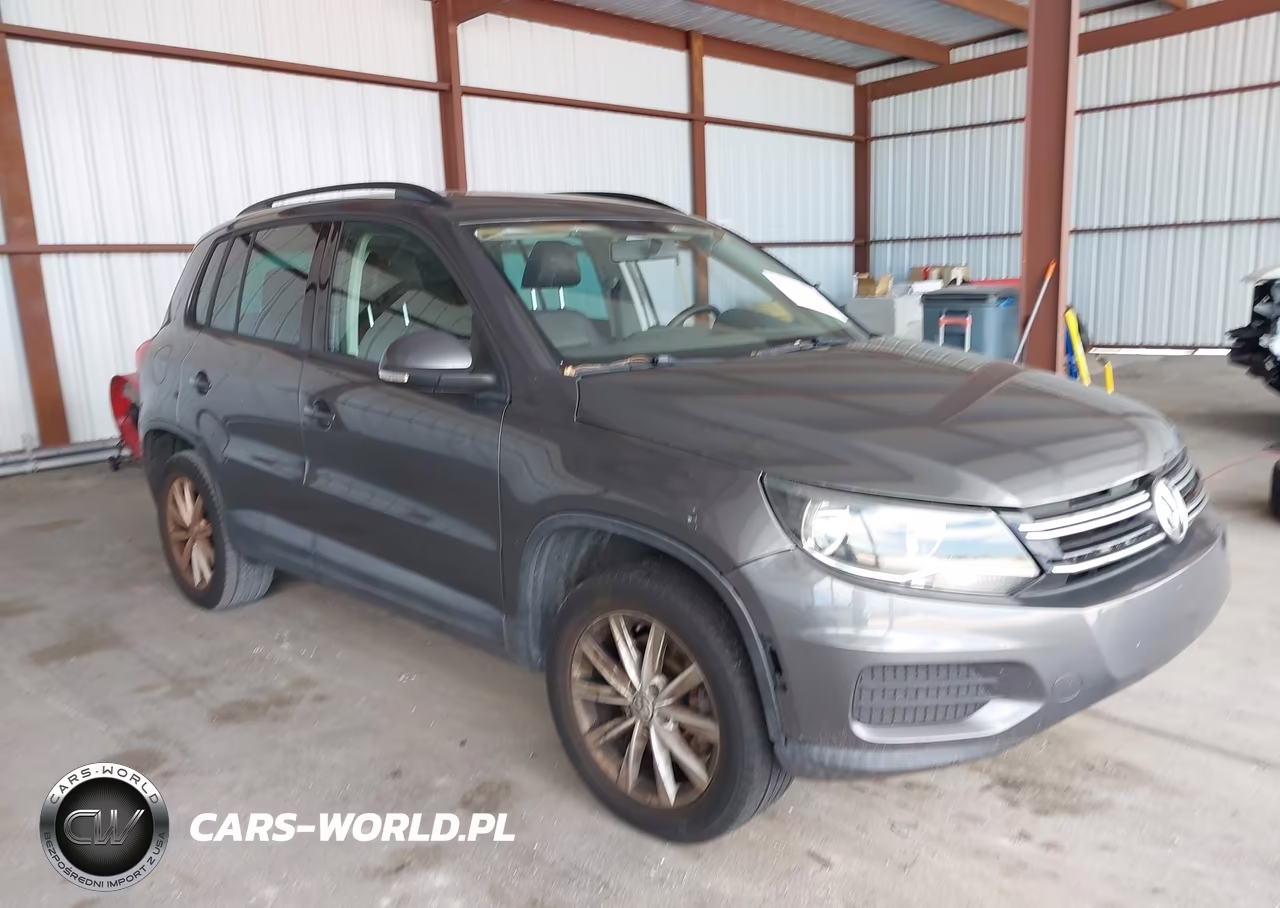 2015 Volkswagen Tiguan Se