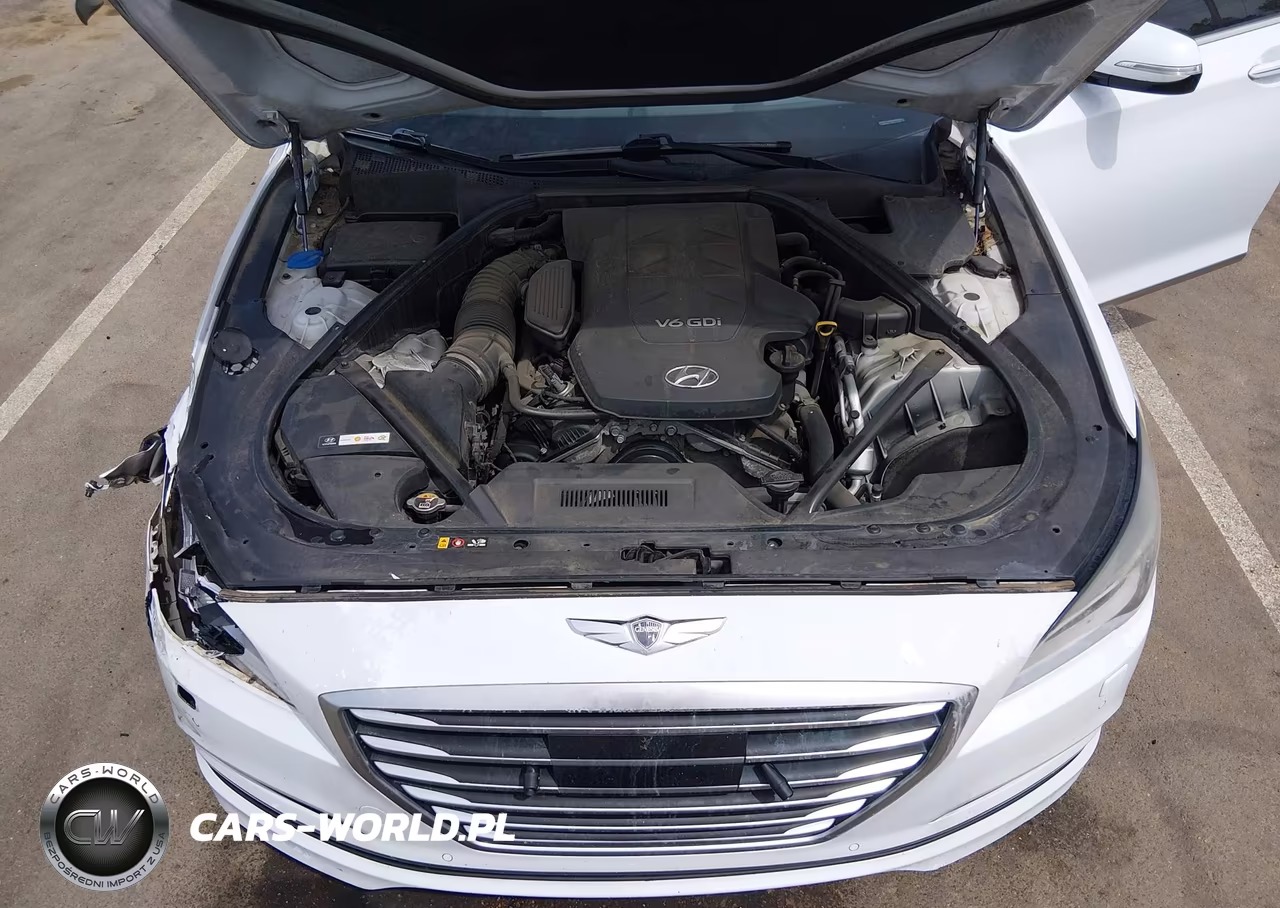 2015 Hyundai Genesis 3.8 VIN:KMHGN4JE8FU035867 - 10