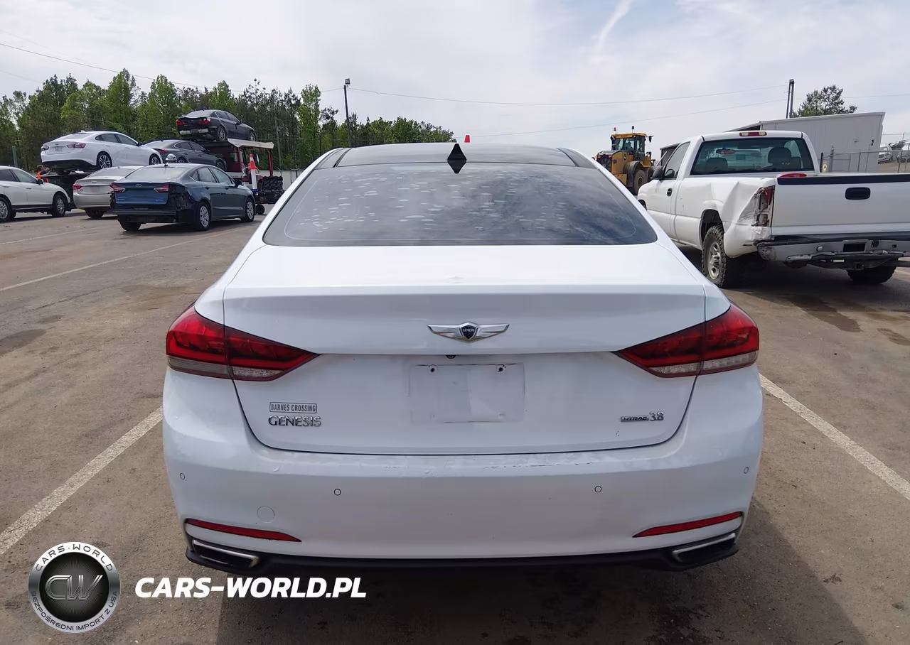 2015 Hyundai Genesis 3.8 VIN:KMHGN4JE8FU035867 - 17