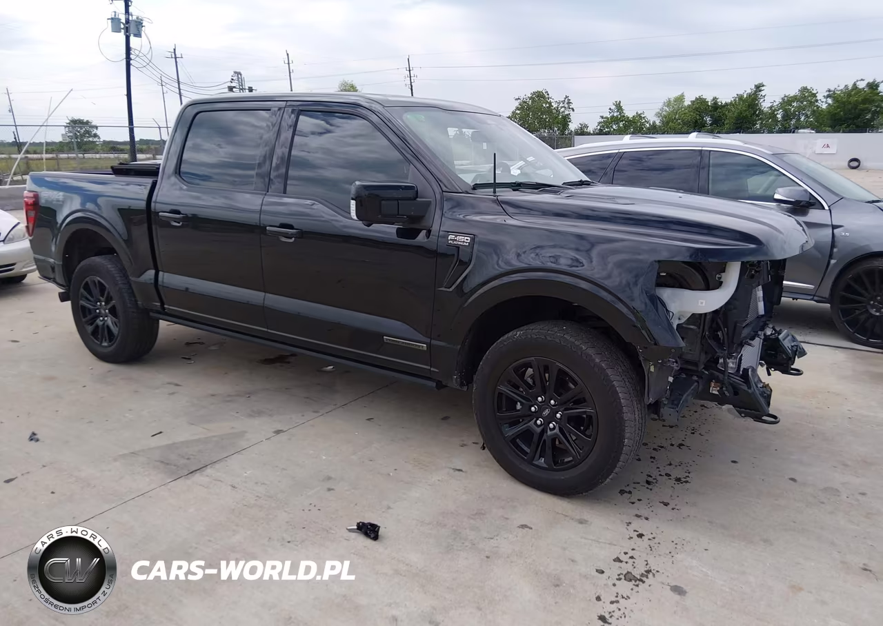 2025 Ford F-150 Platinum – zdjęcie 1 z 17