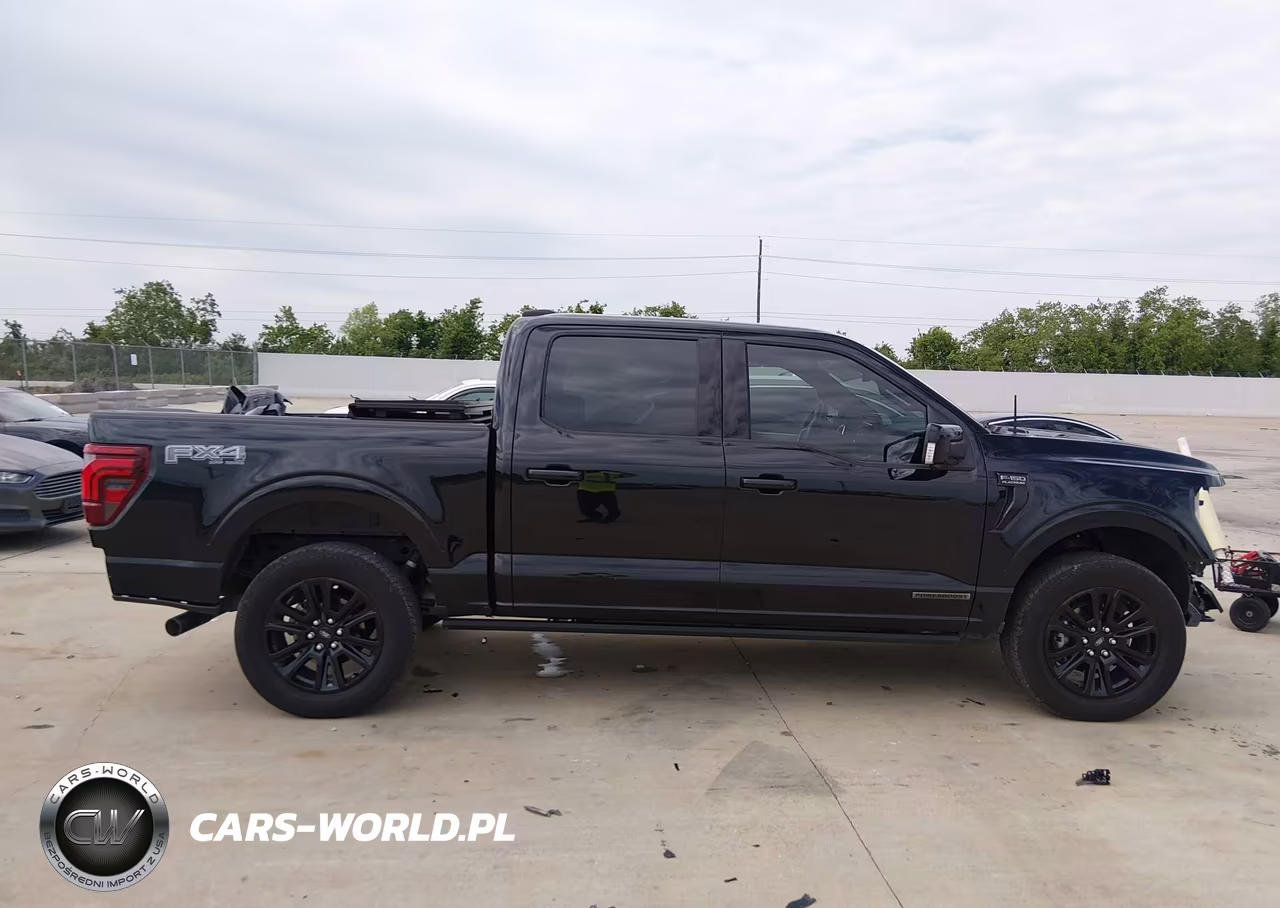 2025 Ford F-150 Platinum VIN:1FTFW7LD8SFA46773 - 13