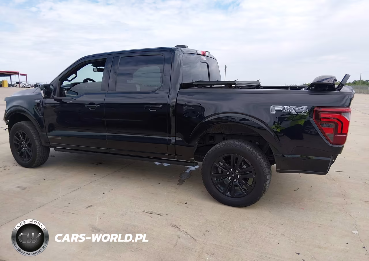 2025 Ford F-150 Platinum VIN:1FTFW7LD8SFA46773 - 14
