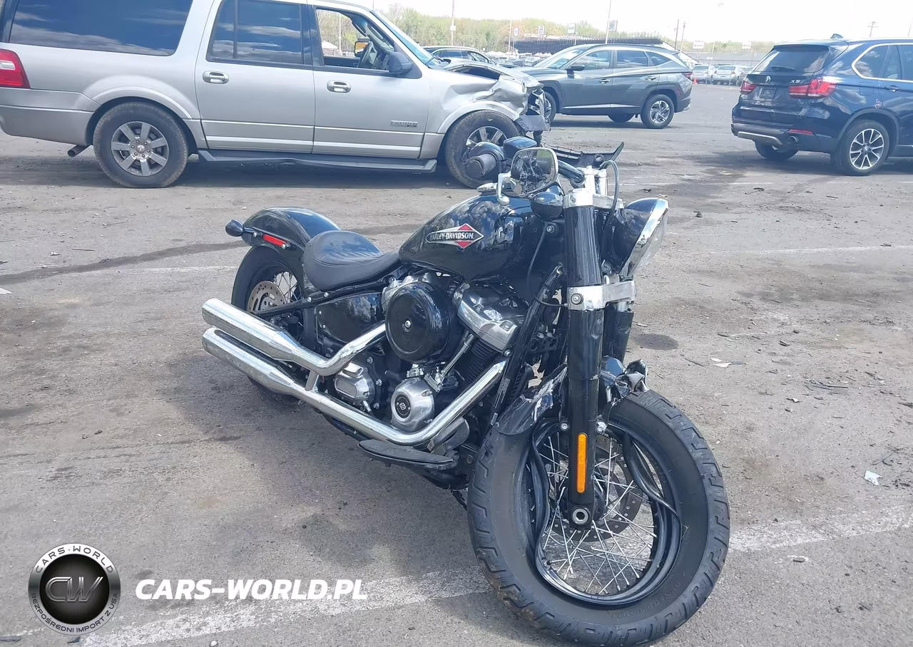2020 Harley-Davidson Flsl – zdjęcie 1 z 12