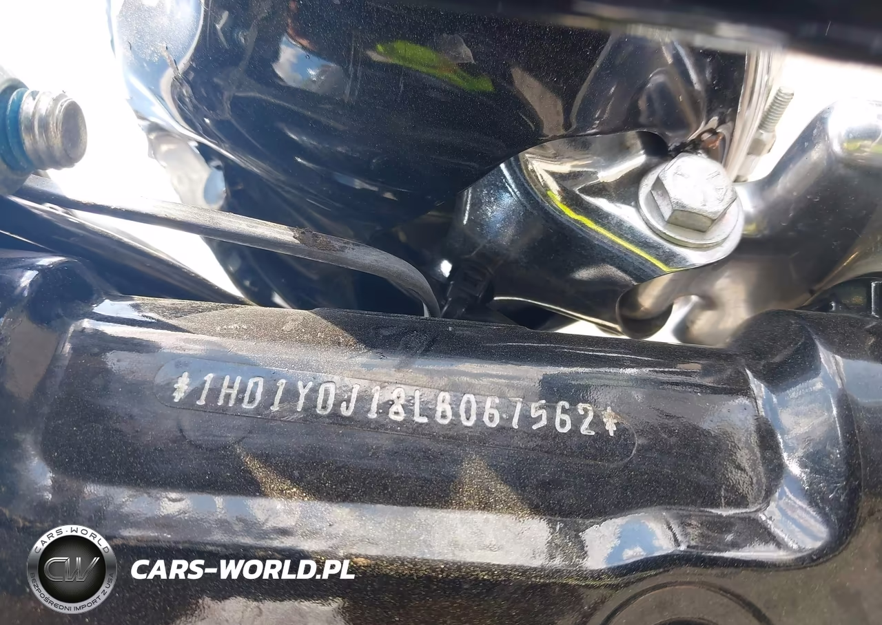 2020 Harley-Davidson Flsl VIN:1HD1YDJ18LB067562 - 10