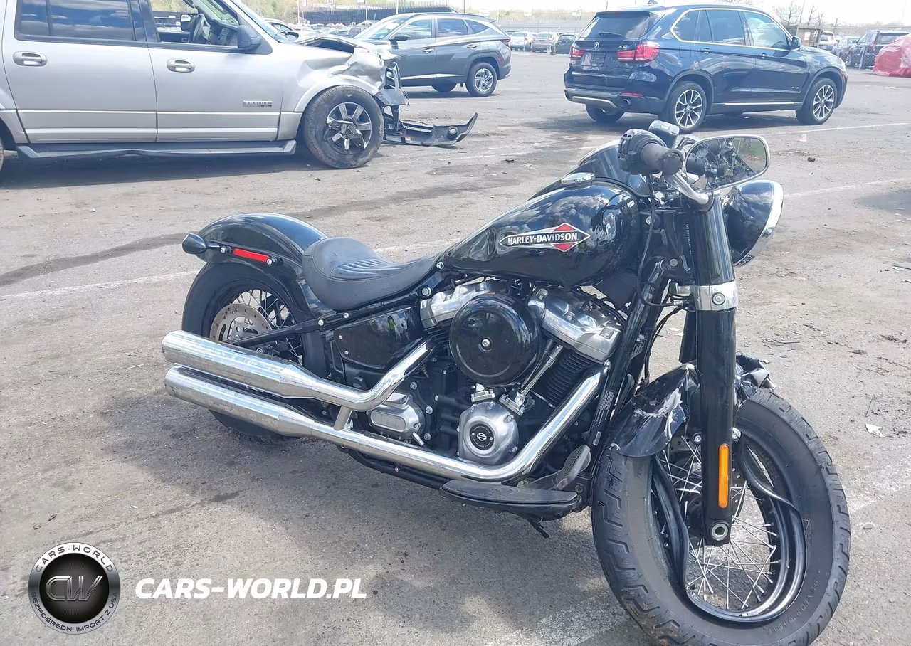 2020 Harley-Davidson Flsl VIN:1HD1YDJ18LB067562 - 11