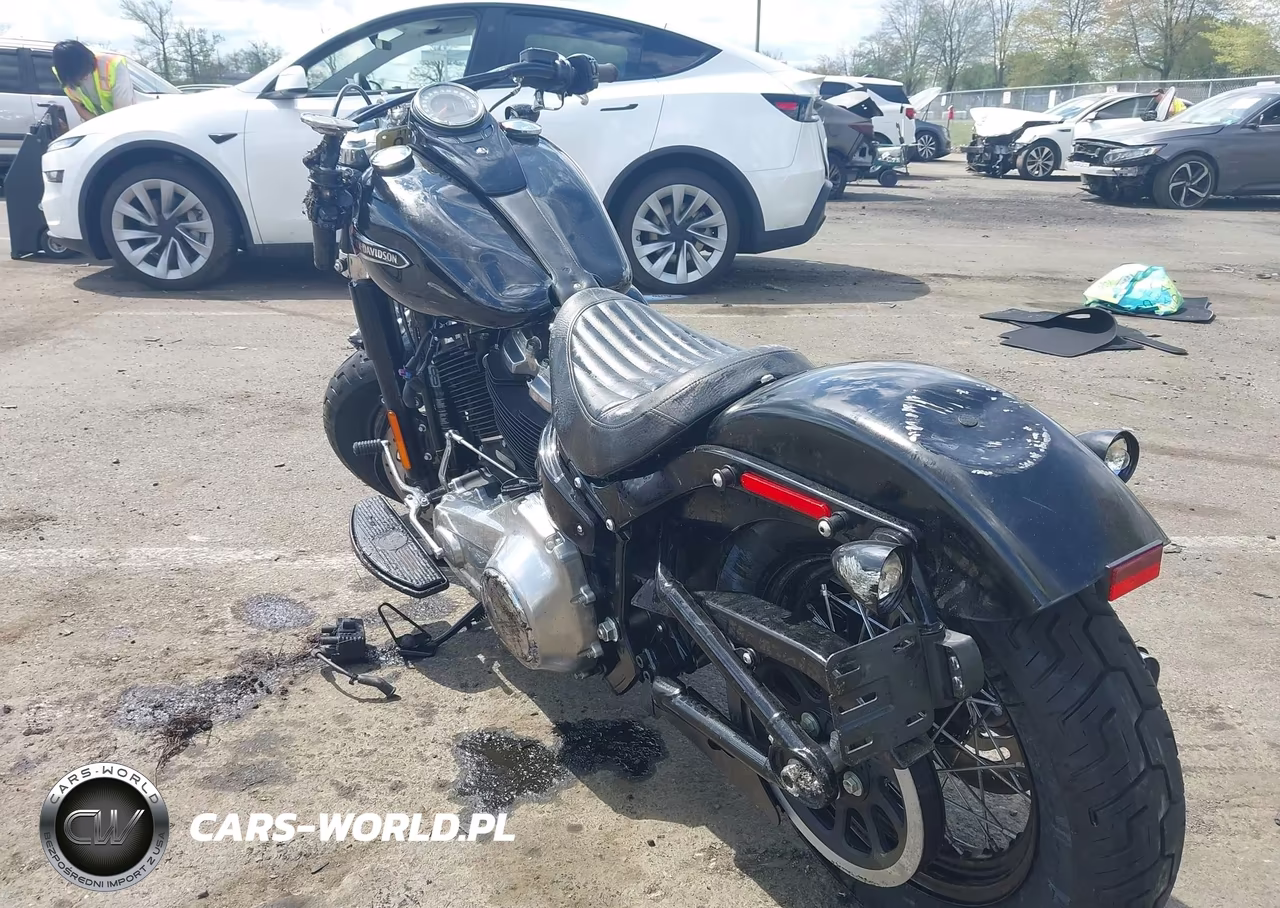 2020 Harley-Davidson Flsl VIN:1HD1YDJ18LB067562 - 3