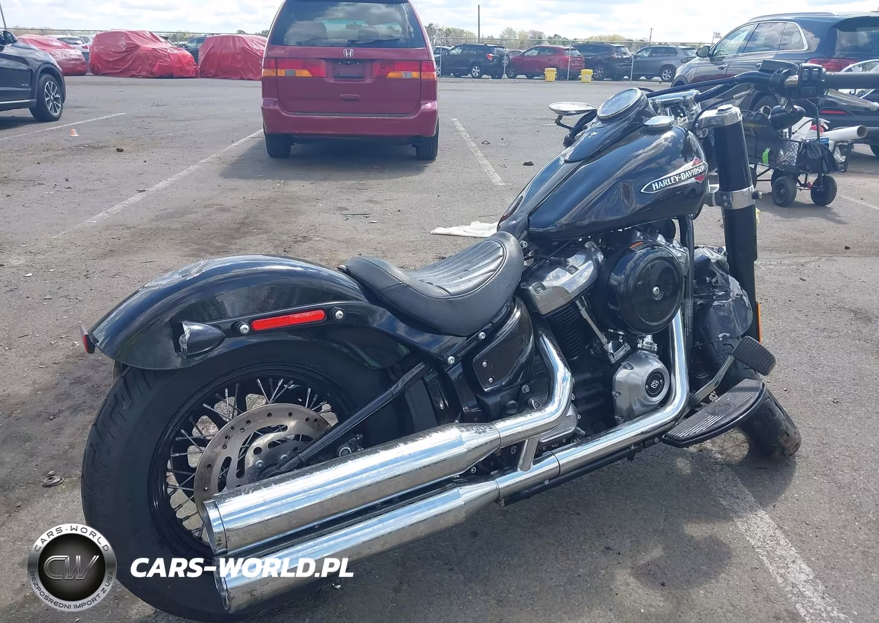 2020 Harley-Davidson Flsl VIN:1HD1YDJ18LB067562 - 4
