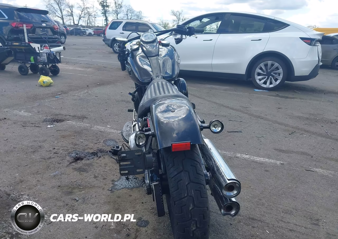 2020 Harley-Davidson Flsl VIN:1HD1YDJ18LB067562 - 6