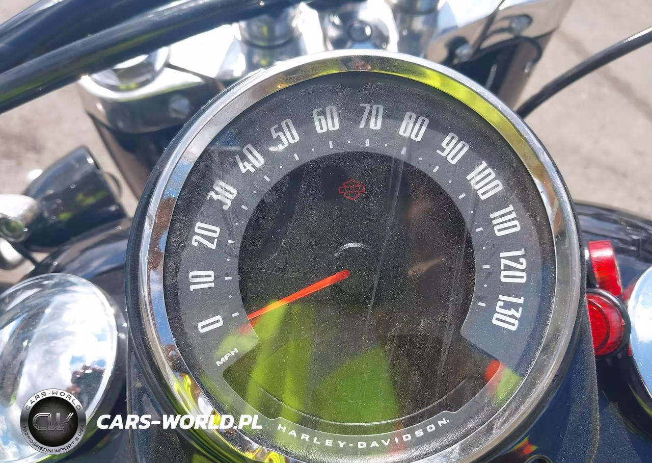 2020 Harley-Davidson Flsl VIN:1HD1YDJ18LB067562 - 7