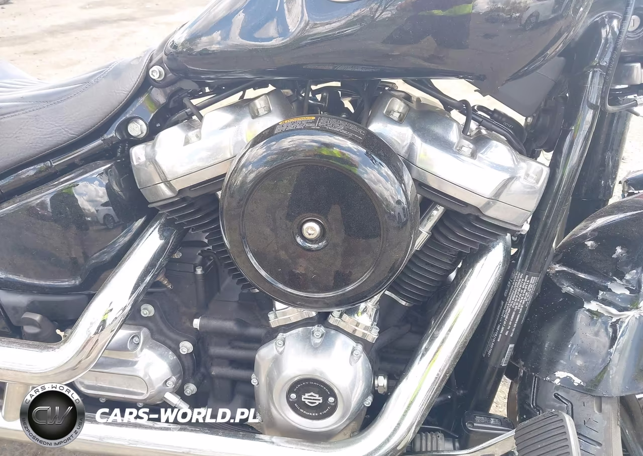 2020 Harley-Davidson Flsl VIN:1HD1YDJ18LB067562 - 8