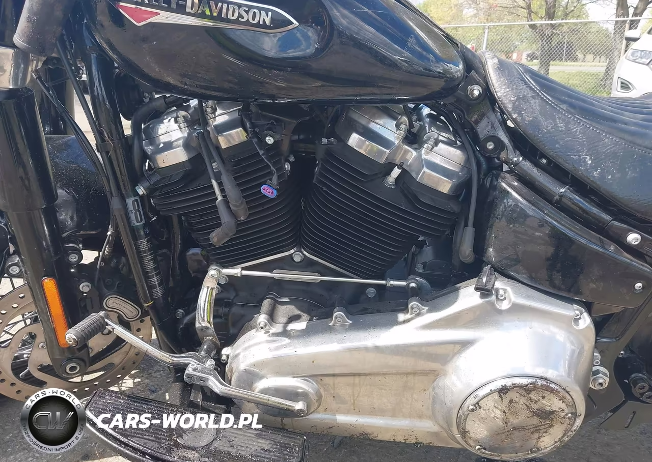 2020 Harley-Davidson Flsl VIN:1HD1YDJ18LB067562 - 9