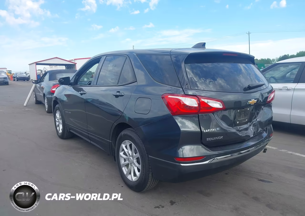 2018 Chevrolet Equinox Ls VIN:3GNAXHEV8JL130445 - 3