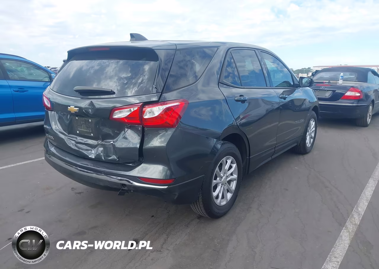 2018 Chevrolet Equinox Ls VIN:3GNAXHEV8JL130445 - 4