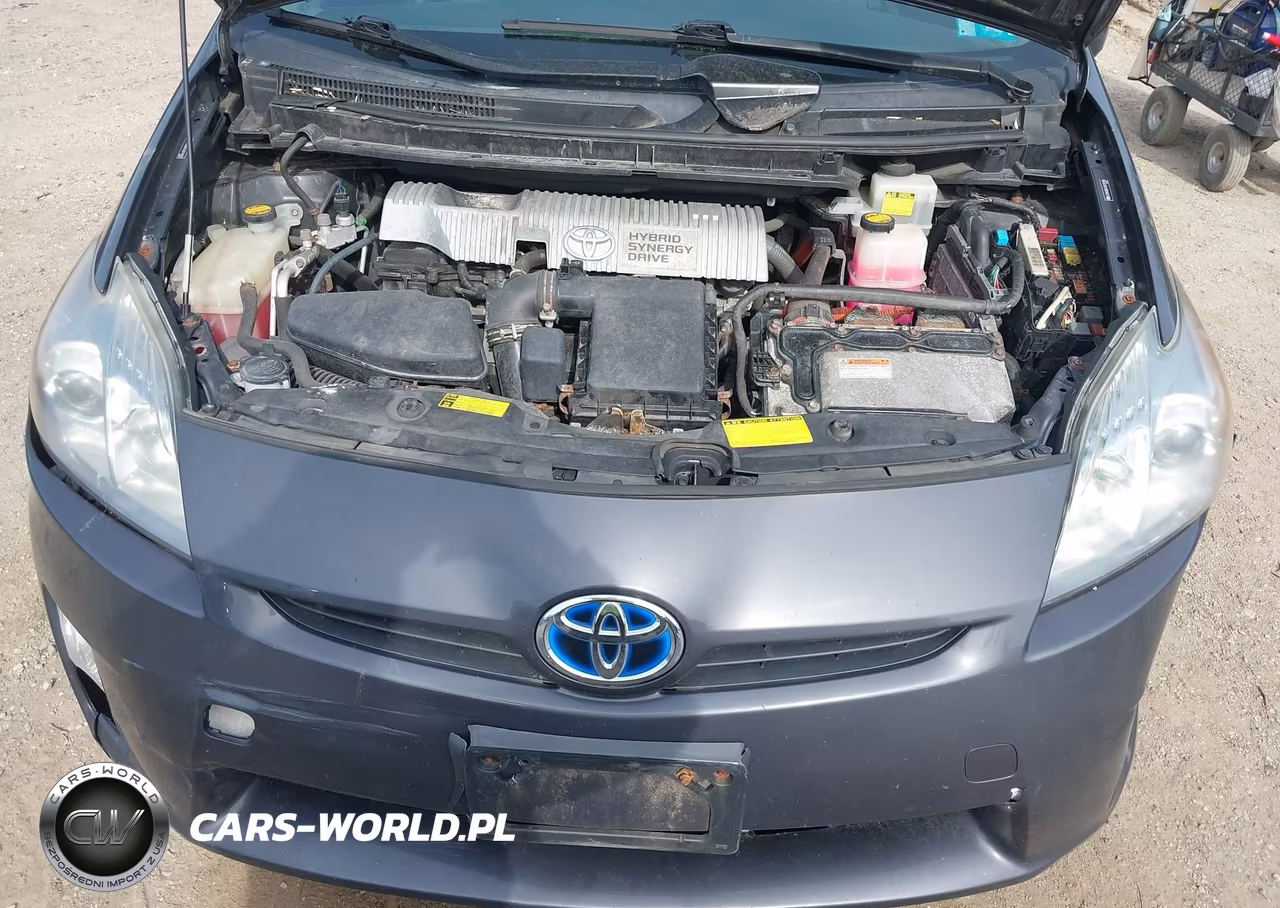 2010 Toyota Prius VIN:JTDKN3DU1A0195780 - 10