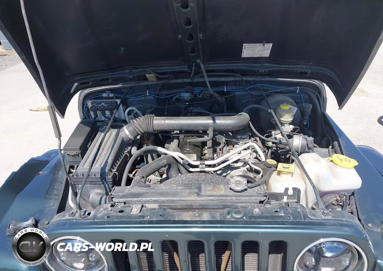 2004 Jeep Wrangler Sahara VIN:1J4FA59S14P750104 - 10