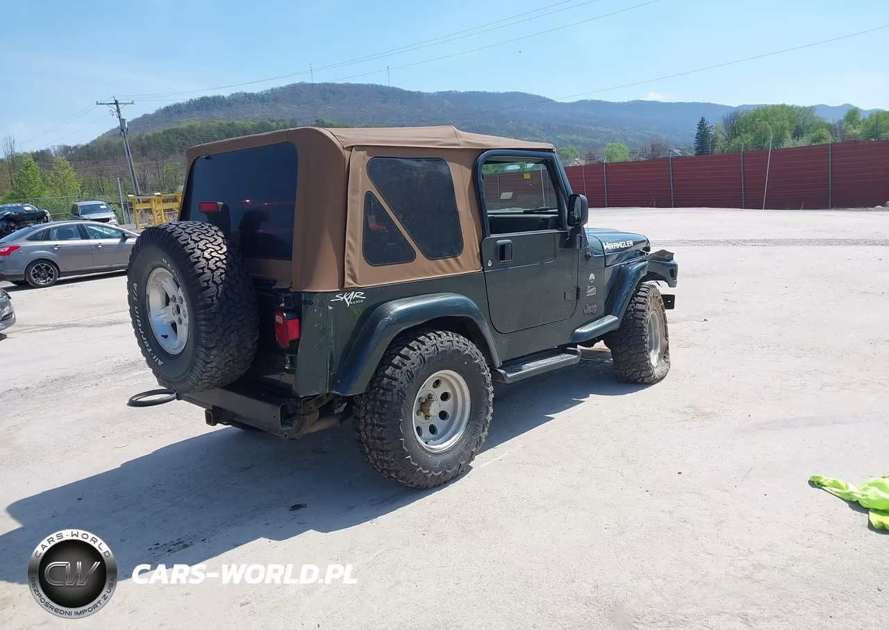 2004 Jeep Wrangler Sahara VIN:1J4FA59S14P750104 - 4