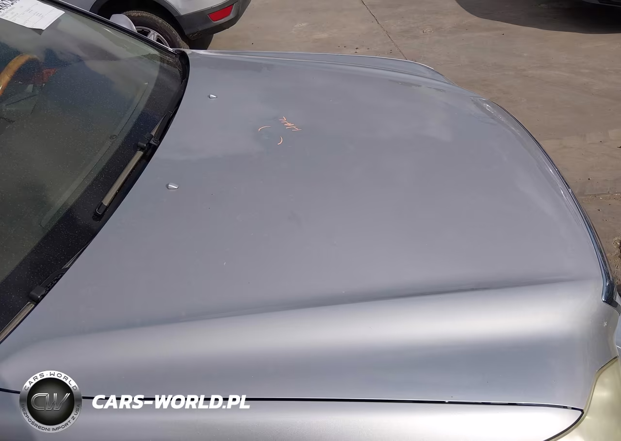 2004 Lexus Ls 430 VIN:JTHBN36F640152487 - 17