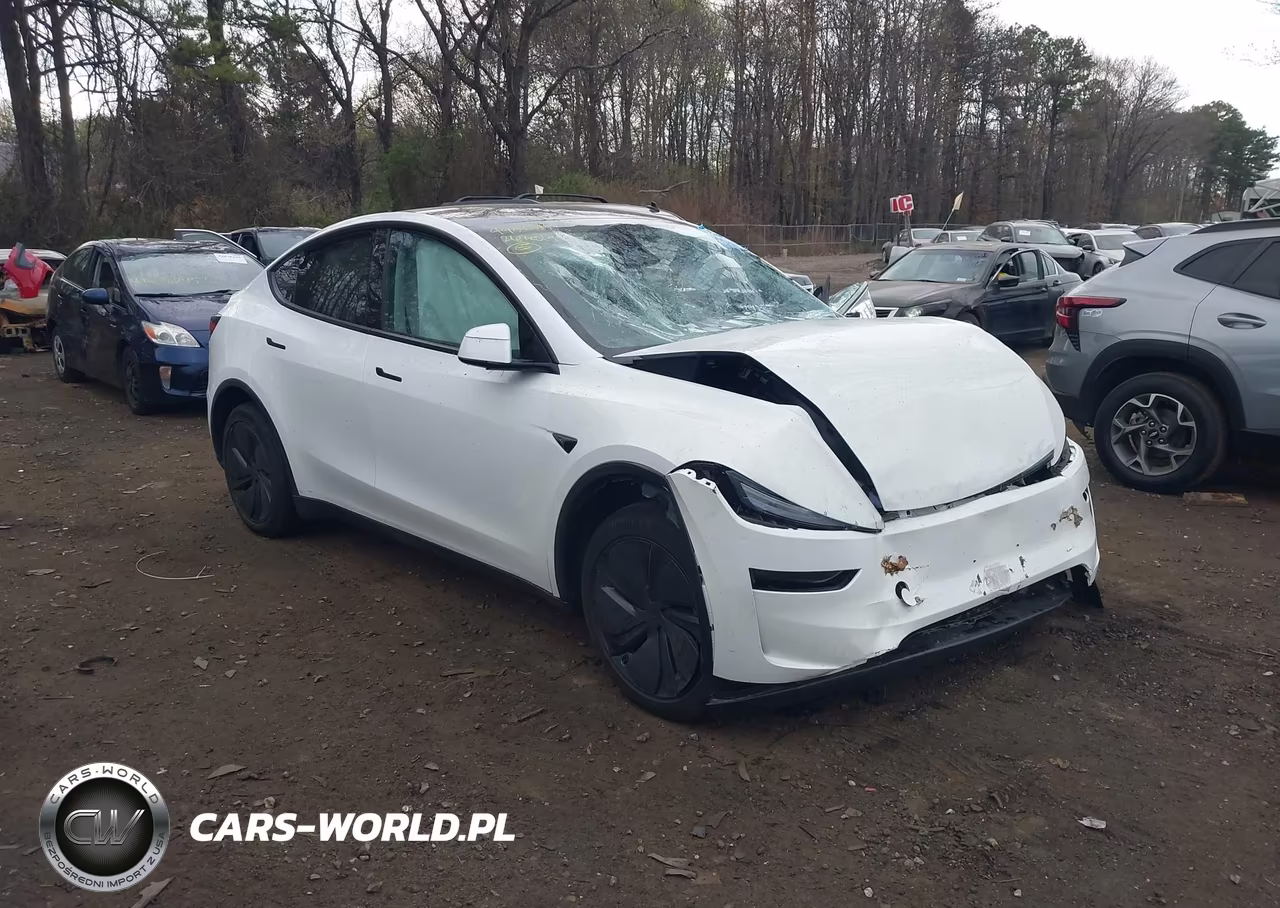 2026 Tesla Model Y Premium Rear-Wheel Drive-Standard Rear-Wheel Drive