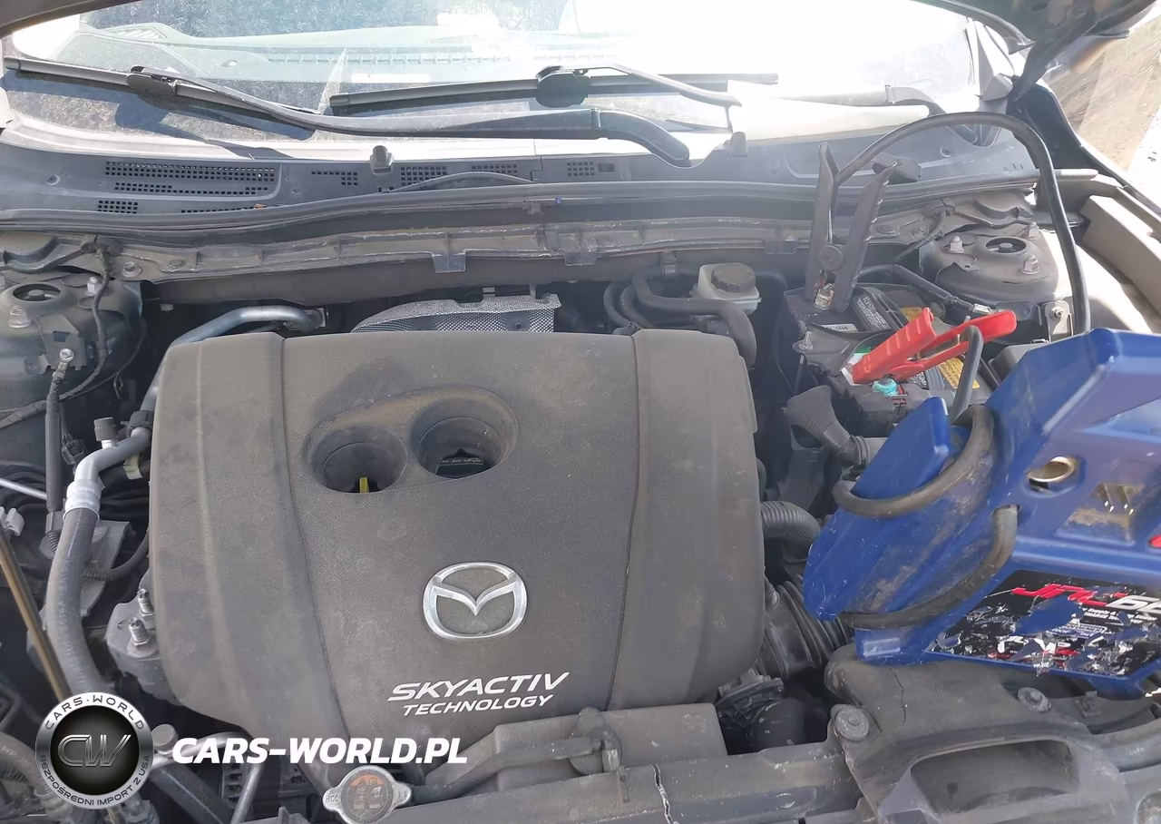 2015 Mazda Mazda3 I Touring VIN:JM1BM1V79F1249280 - 10