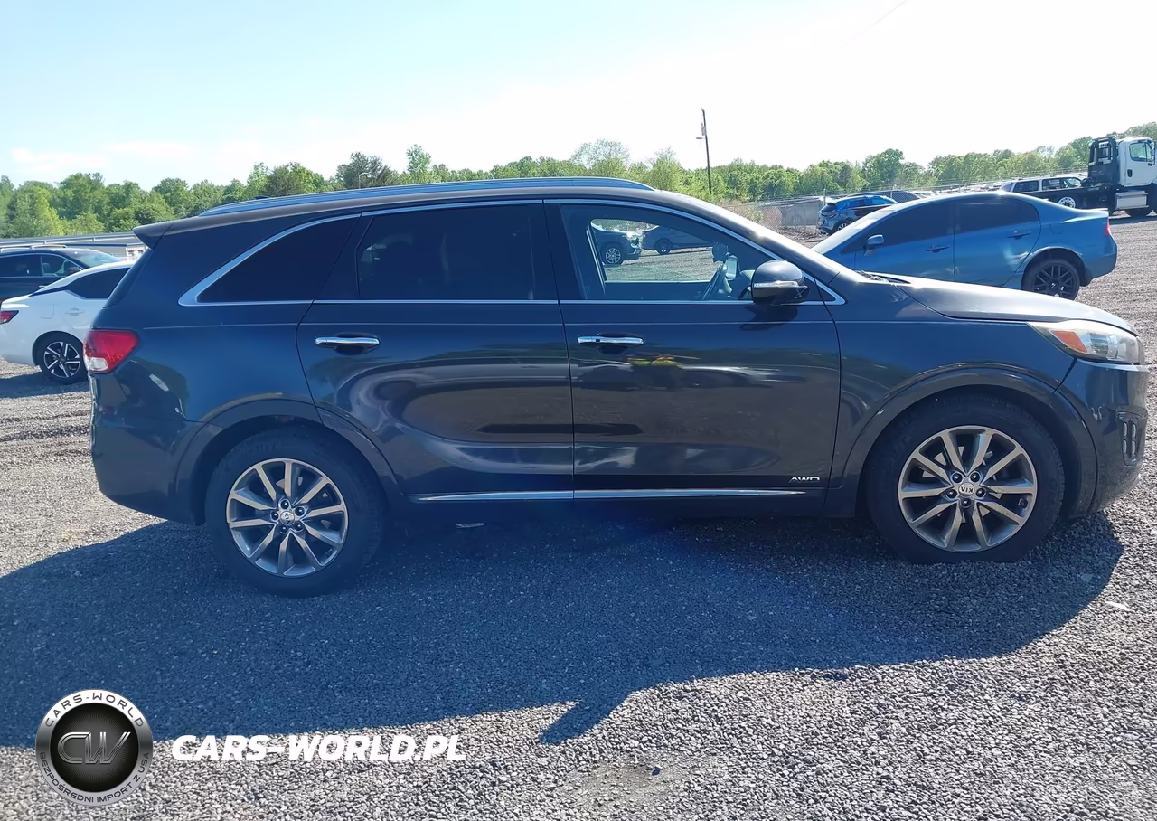 2018 Kia Sorento 3.3L Sxl VIN:5XYPKDA57JG364745 - 13