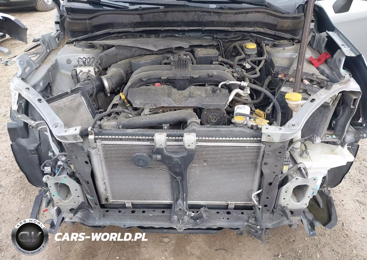 2017 Subaru Forester 2.5I Premium VIN:JF2SJAEC6HH401825 - 10