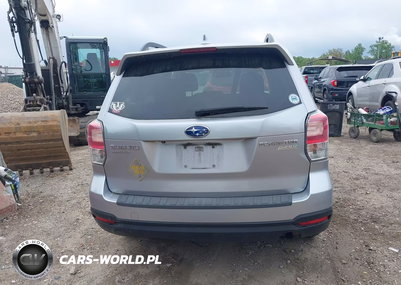 2017 Subaru Forester 2.5I Premium VIN:JF2SJAEC6HH401825 - 17