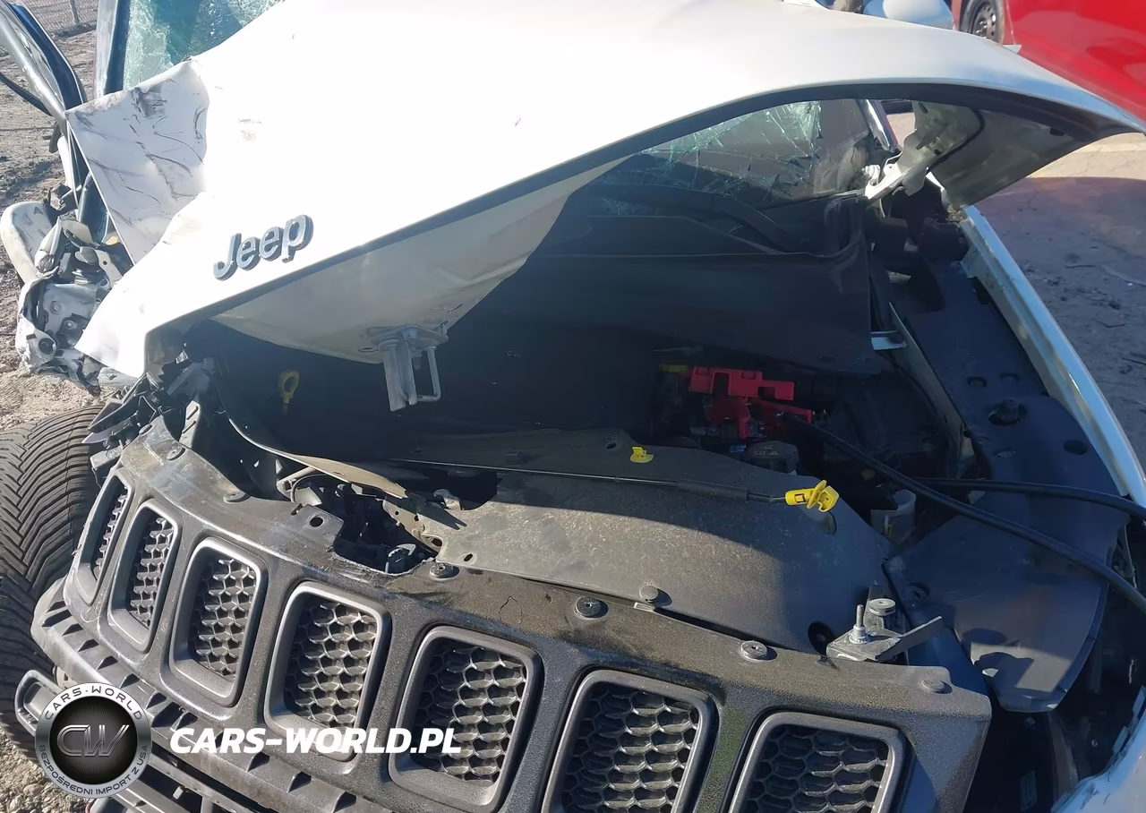 2019 Jeep Compass High Altitude 4X4 VIN:3C4NJDCB3KT812034 - 10