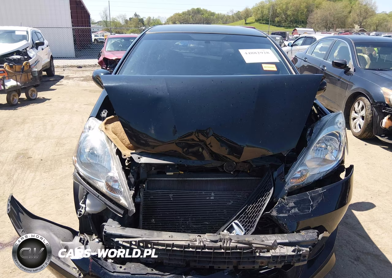2010 Honda Fit Sport VIN:JHMGE8H41AC028202 - 12