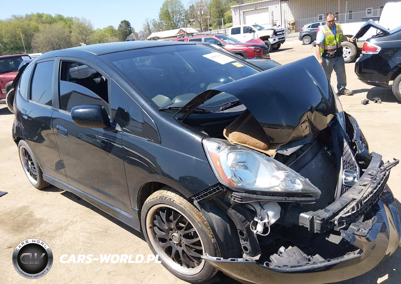 2010 Honda Fit Sport VIN:JHMGE8H41AC028202 - 6