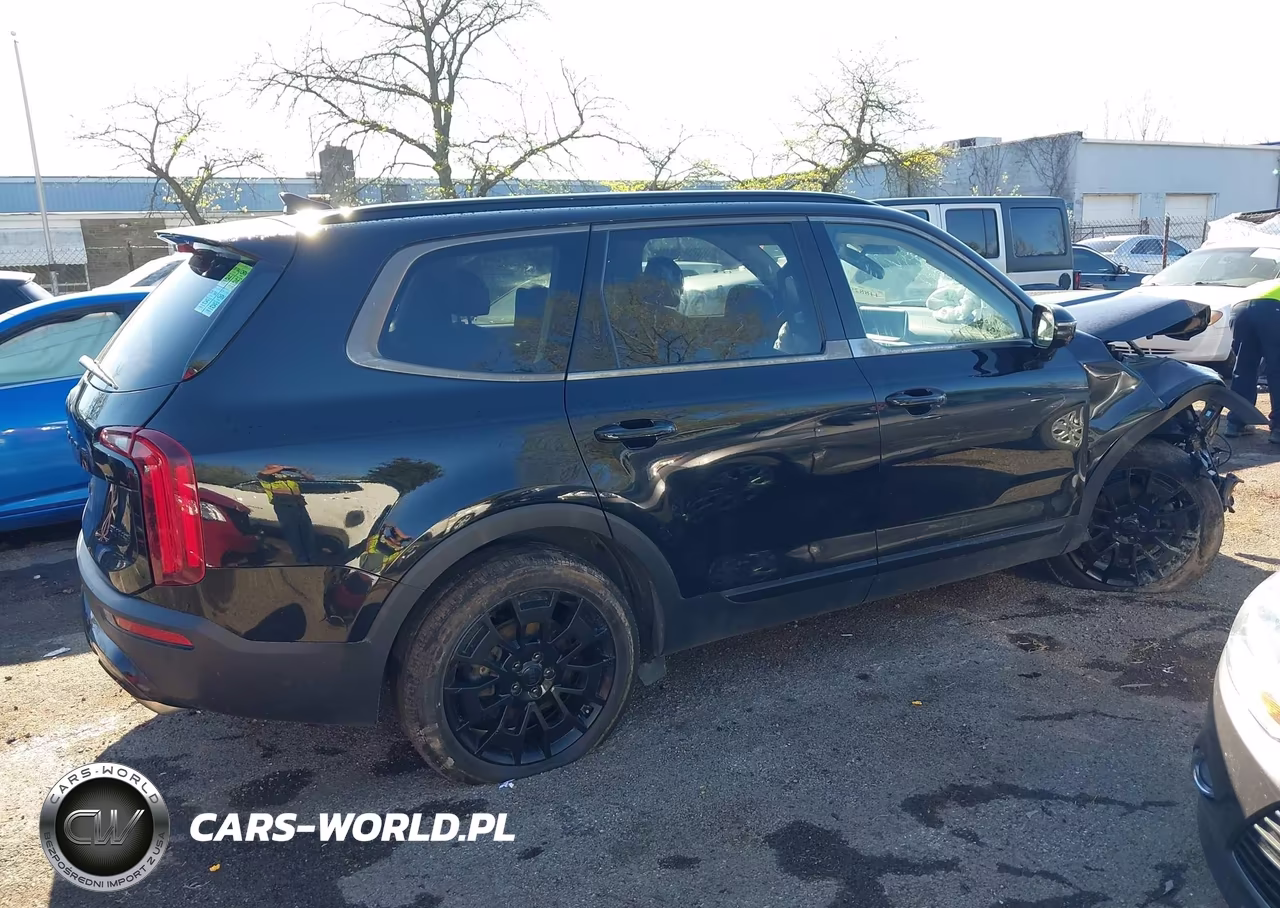 2021 Kia Telluride Sx VIN:5XYP5DHCXMG099996 - 14