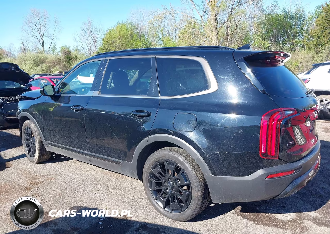 2021 Kia Telluride Sx VIN:5XYP5DHCXMG099996 - 15