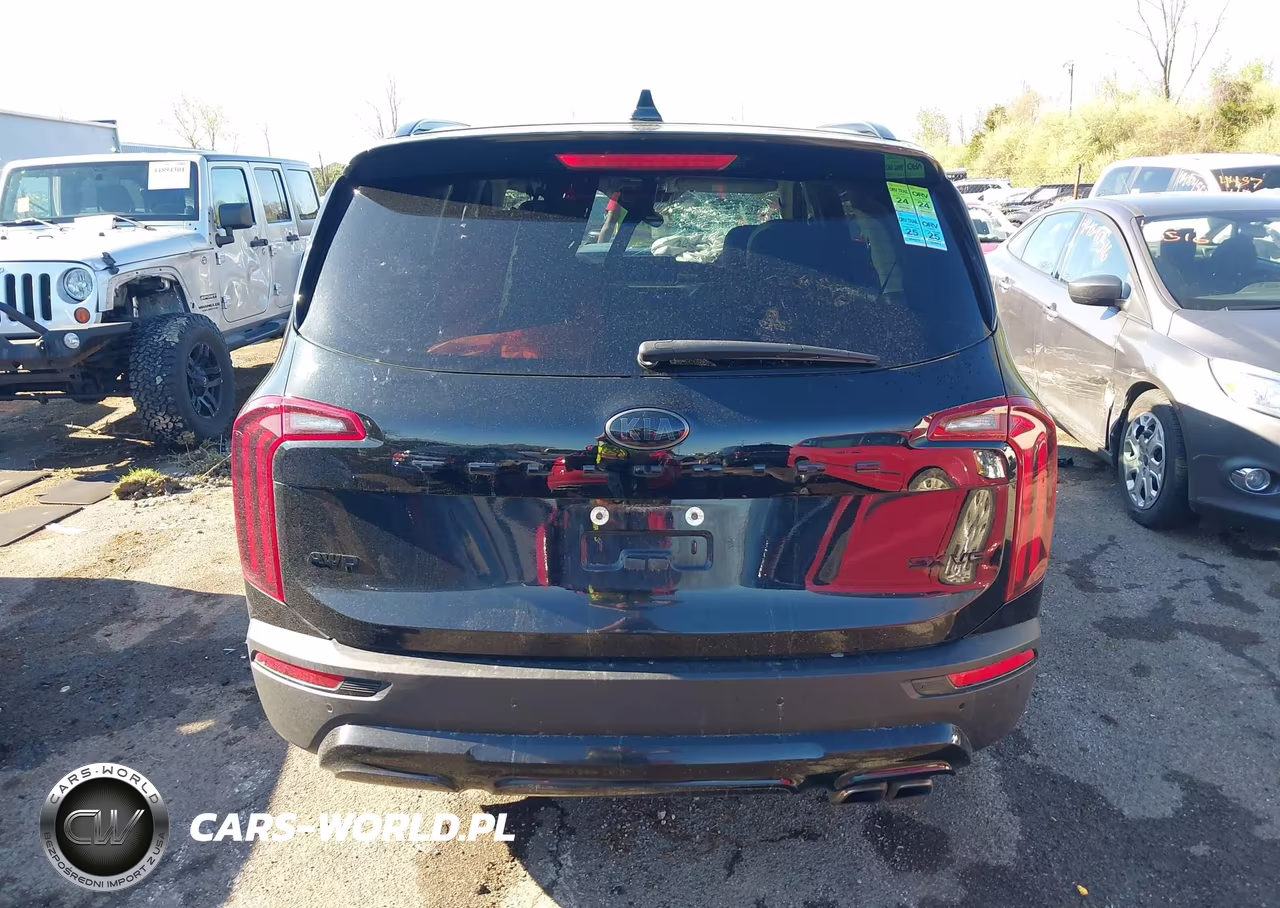 2021 Kia Telluride Sx VIN:5XYP5DHCXMG099996 - 17