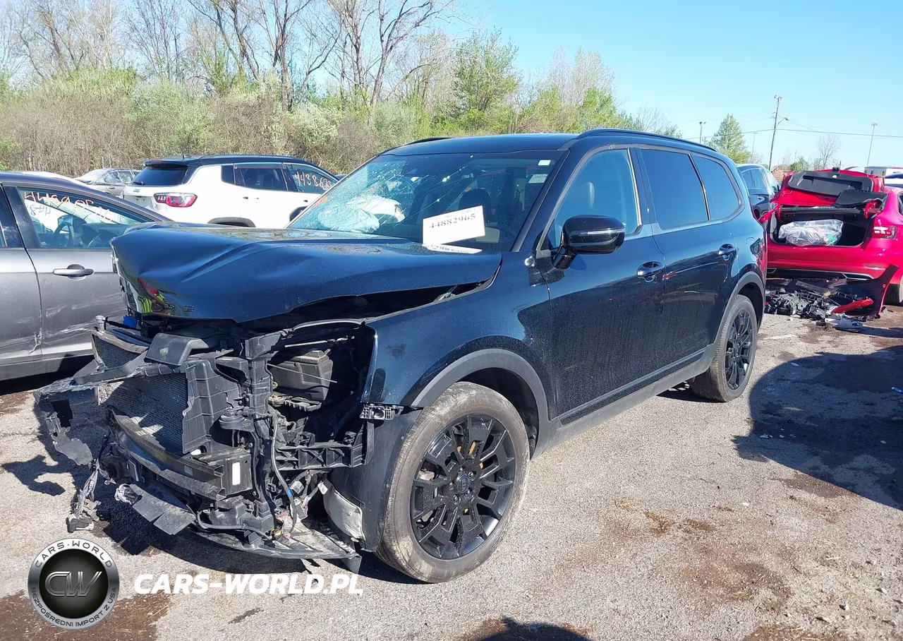 2021 Kia Telluride Sx VIN:5XYP5DHCXMG099996 - 2