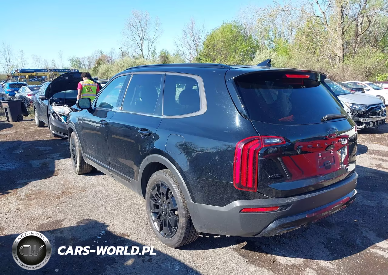 2021 Kia Telluride Sx VIN:5XYP5DHCXMG099996 - 3