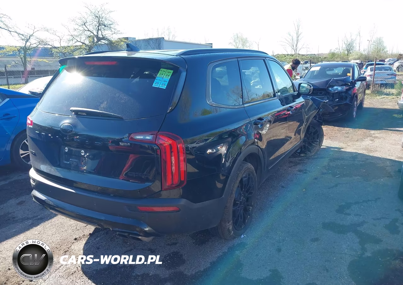 2021 Kia Telluride Sx VIN:5XYP5DHCXMG099996 - 4