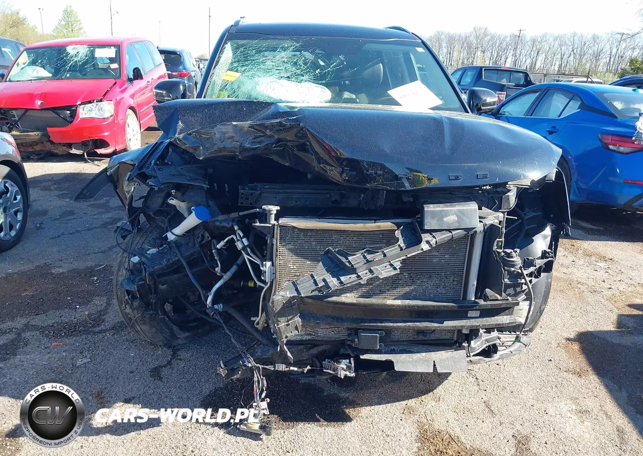 2021 Kia Telluride Sx VIN:5XYP5DHCXMG099996 - 6