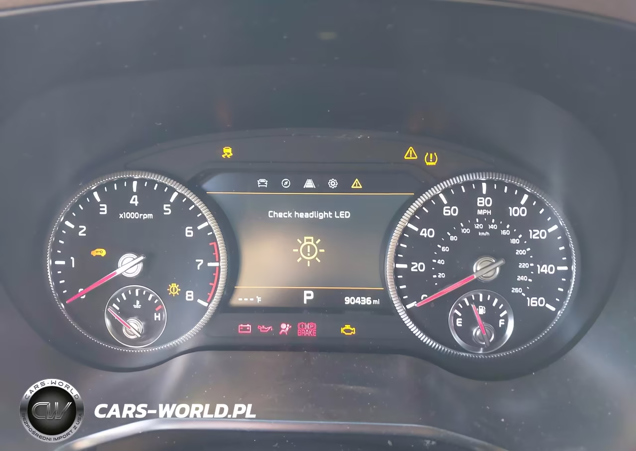 2021 Kia Telluride Sx VIN:5XYP5DHCXMG099996 - 7