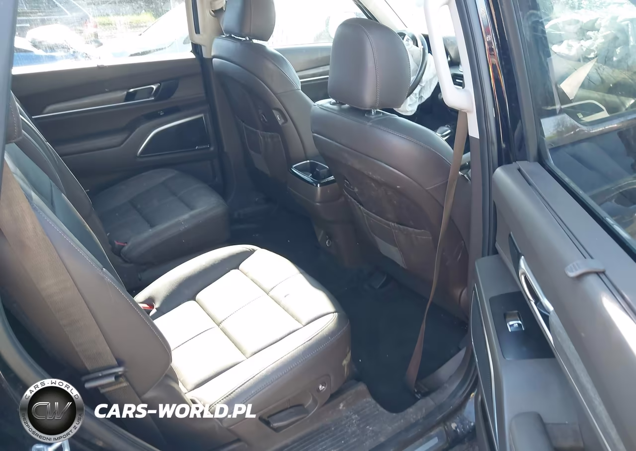 2021 Kia Telluride Sx VIN:5XYP5DHCXMG099996 - 8
